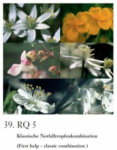 Élixir 5 fleurs (Rescue) - RQ5 selon Dr Bach