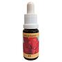 Élixir - PHI Essences - K9 15ml